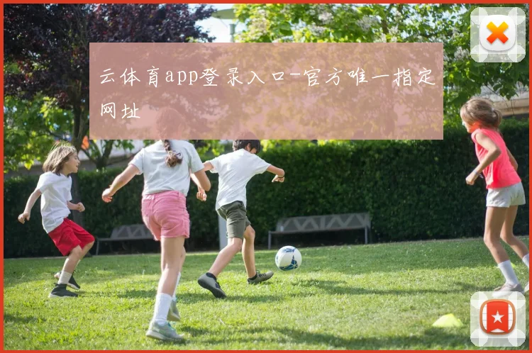 云体育app登录入口-官方唯一指定网址