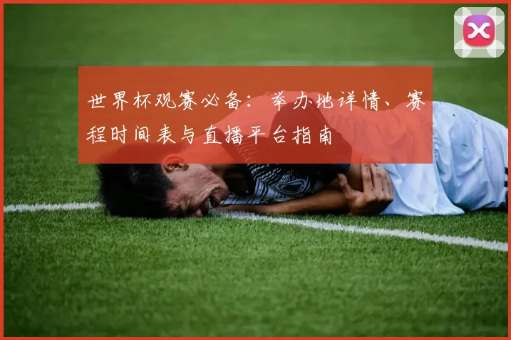 世界杯观赛必备：举办地详情、赛程时间表与直播平台指南