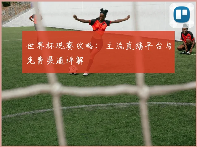世界杯观赛攻略：主流直播平台与免费渠道详解