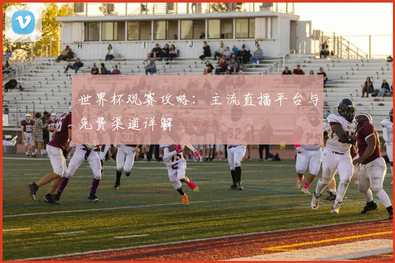 世界杯观赛攻略：主流直播平台与免费渠道详解
