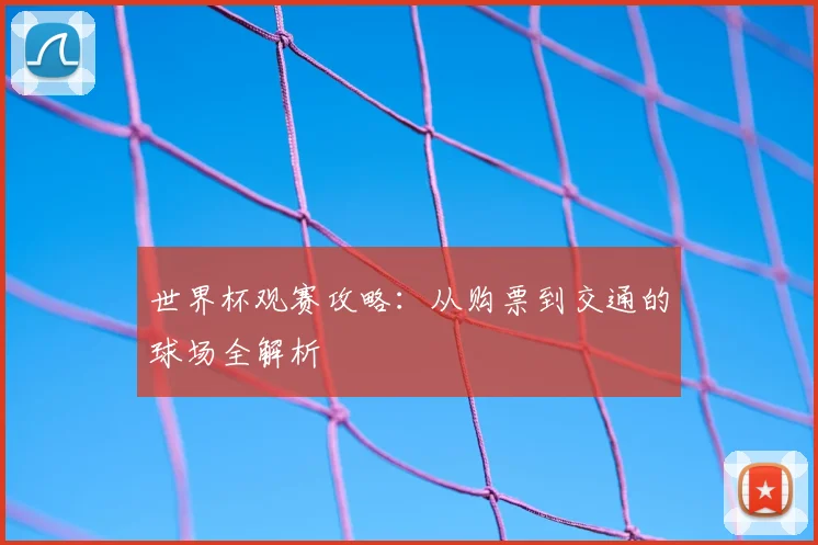世界杯观赛攻略：从购票到交通的球场全解析